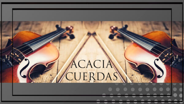 ACACIA CUERDAS – SHOWS MUSICALES BOSSA JAZZ PARA EVENTOS — Imagen 1