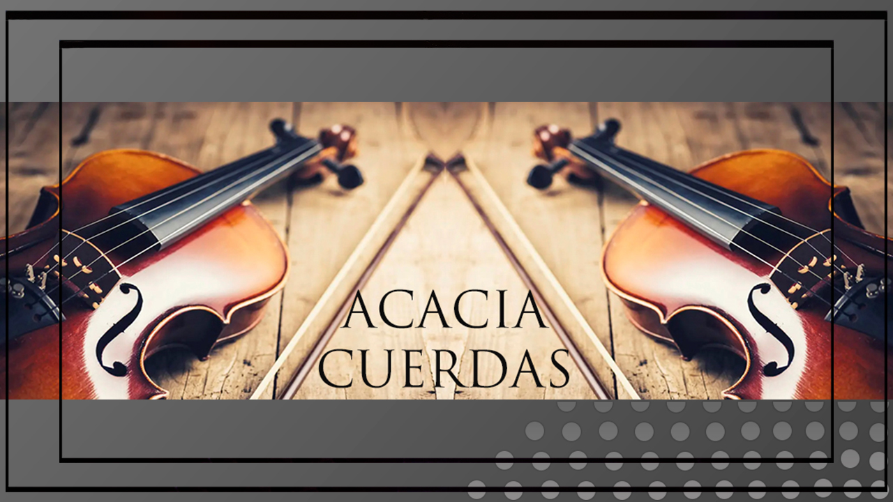 ACACIA CUERDAS – SHOWS MUSICALES BOSSA JAZZ PARA EVENTOS — Imagen 1
