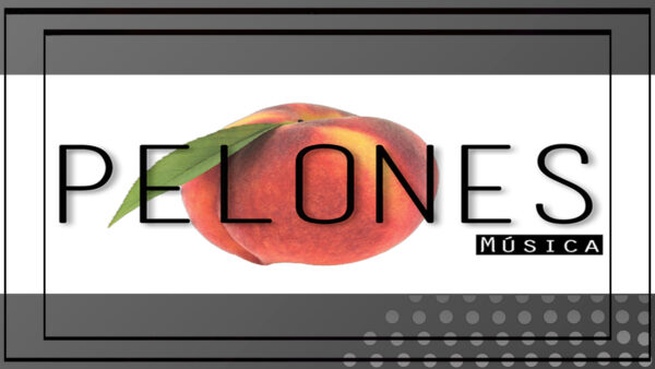 PELONES – CONTRATAR BANDAS EN VIVO PARA FIESTAS SHOWS EVENTOS — Imagen 1